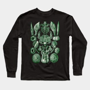 Ernst  Haeckel Cirripedia Crab Green Long Sleeve T-Shirt